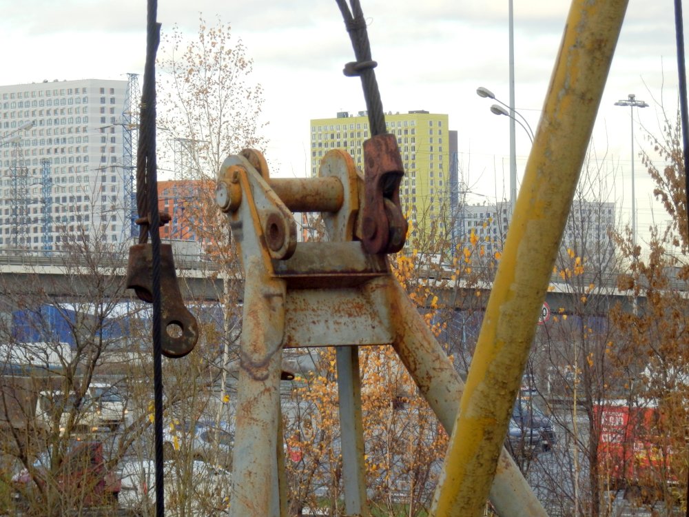 PB050614.JPG
