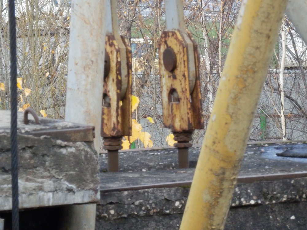 PB050616.JPG