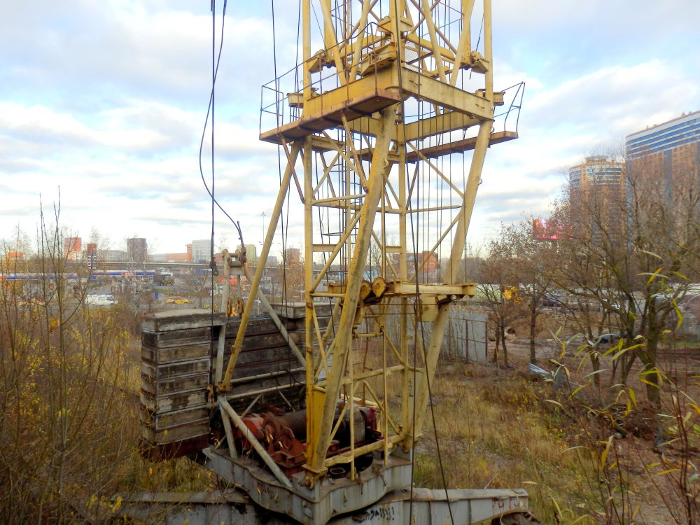 PB050625.JPG