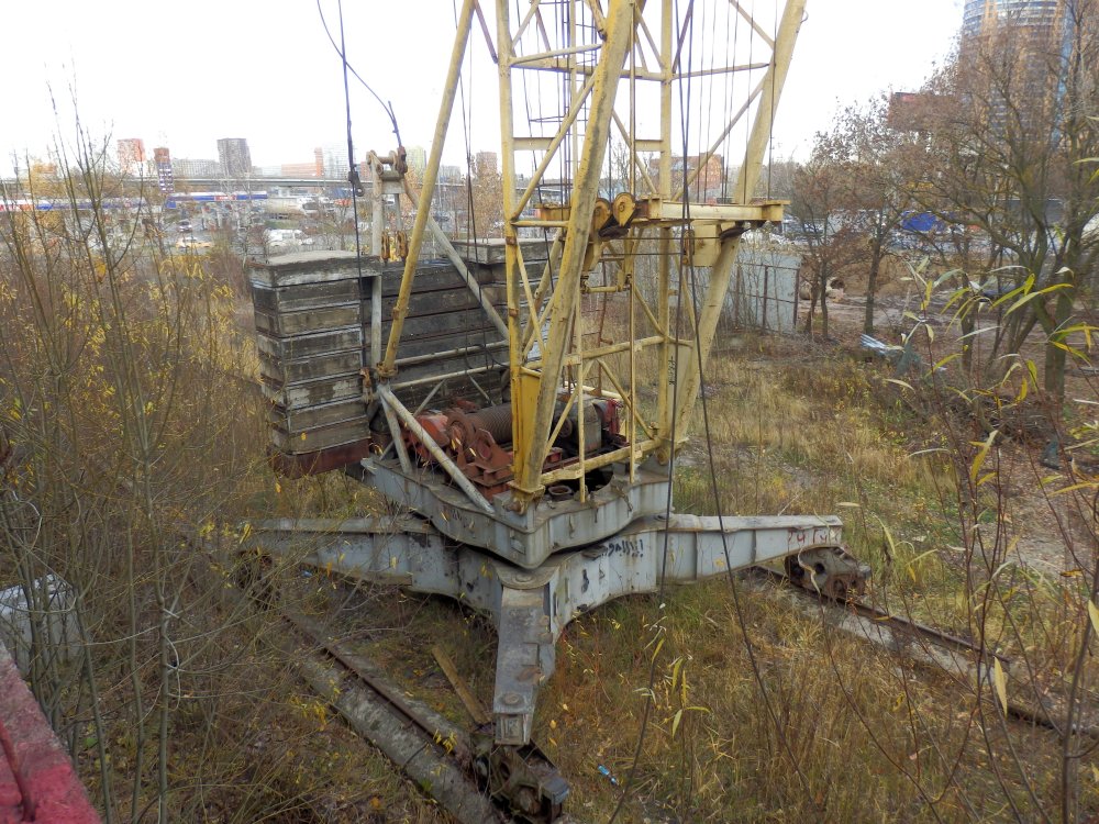 PB050626.JPG