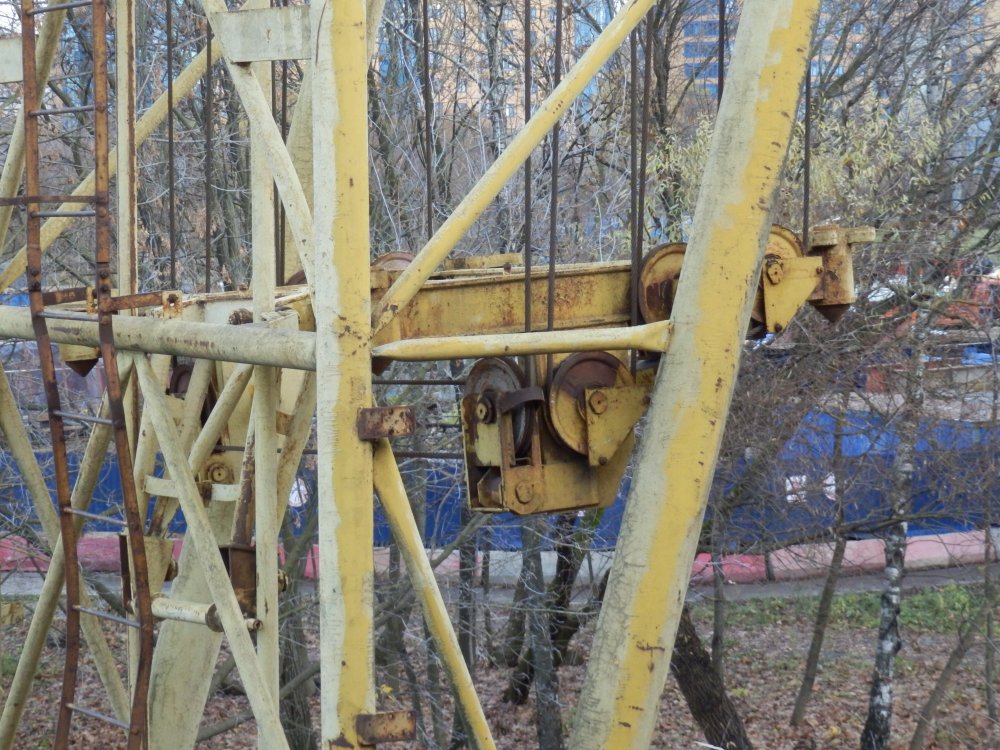 PB050680.JPG