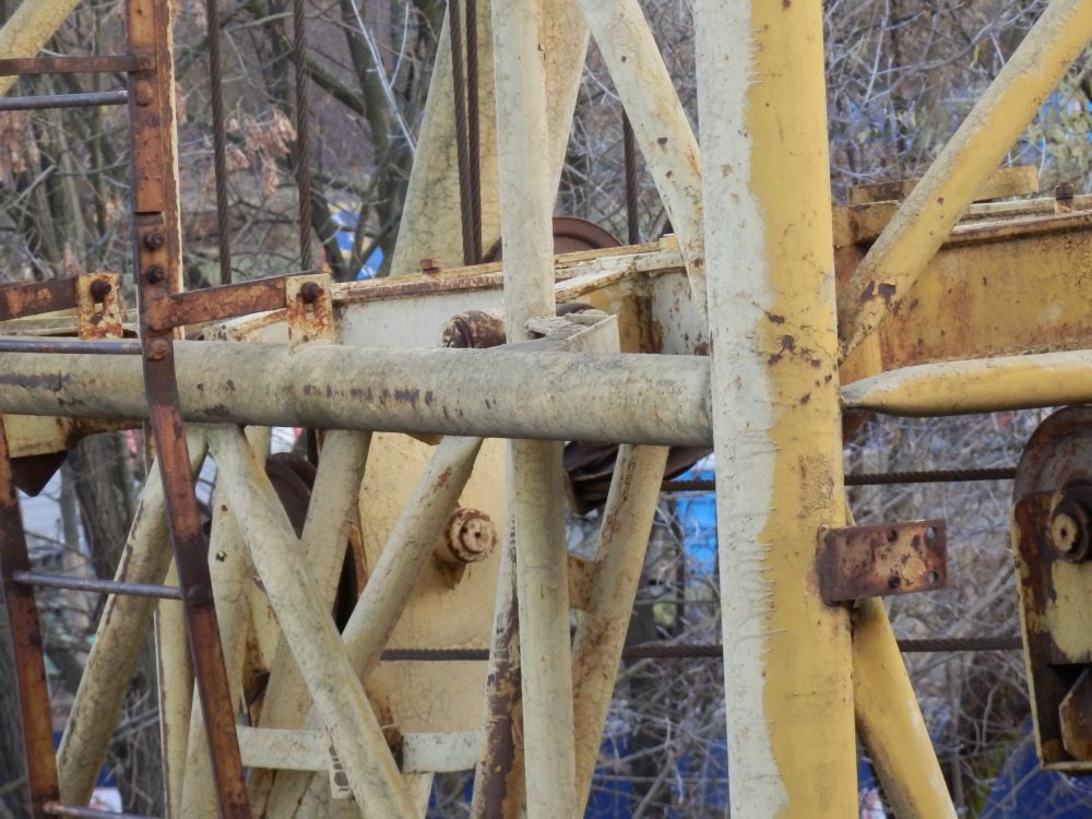 PB050710.JPG