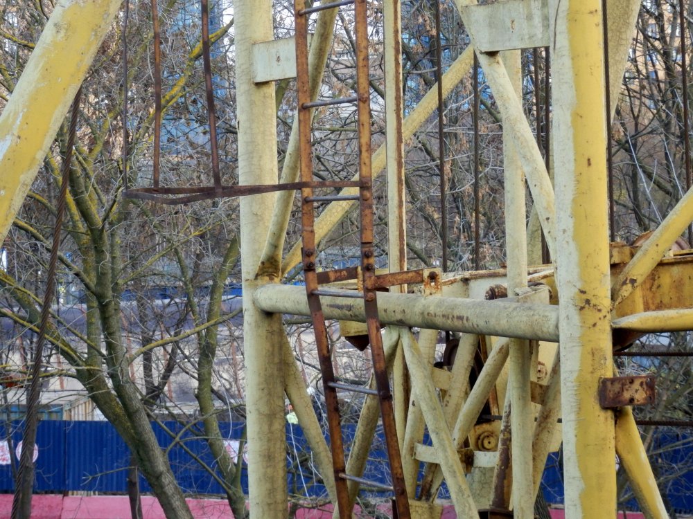 PB050711.JPG