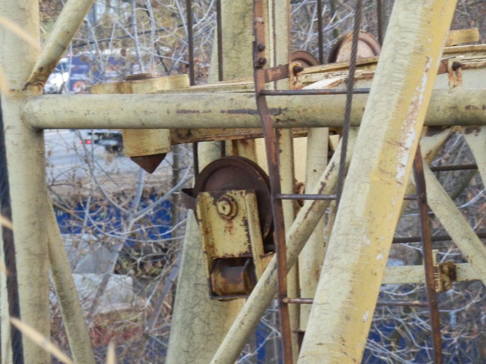 PB050761.JPG