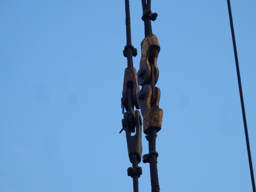 PB050764.JPG