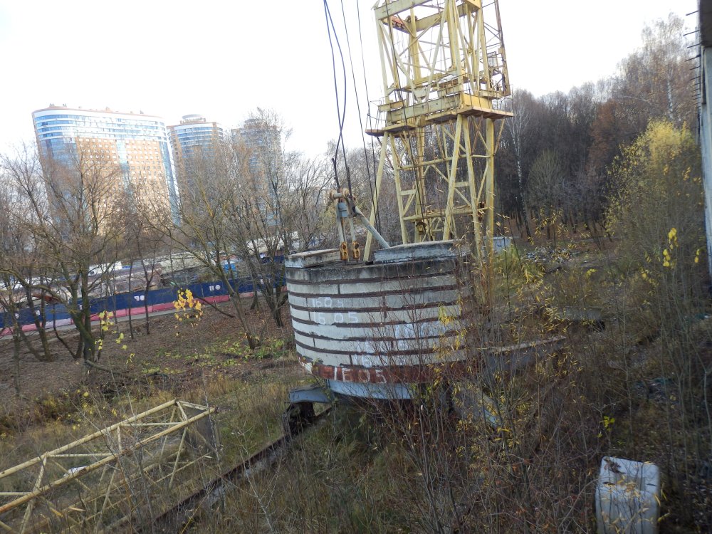 PB050769.JPG