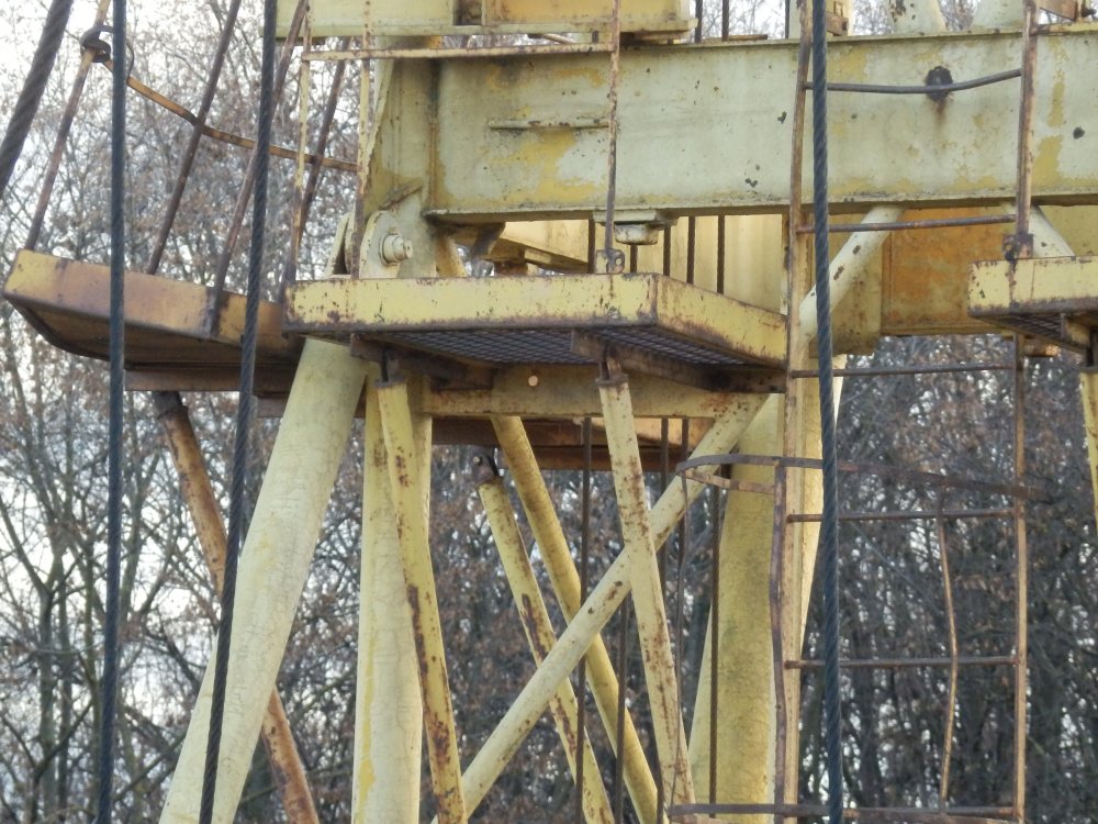 PB050785.JPG
