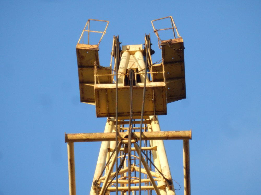PB050821.JPG