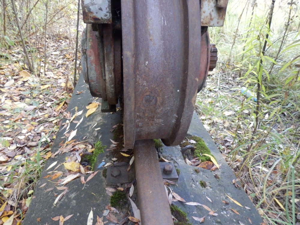 PA170205.JPG