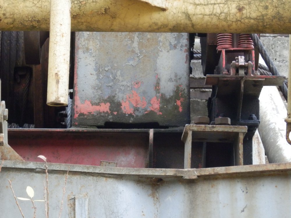PA230134.JPG