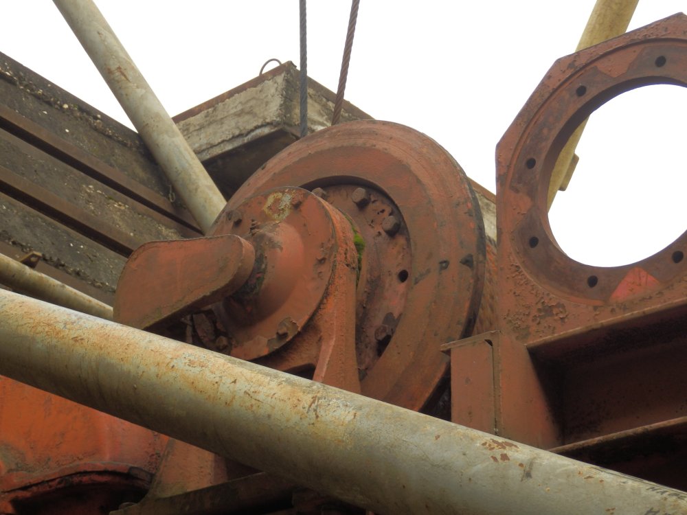 PA230289.JPG