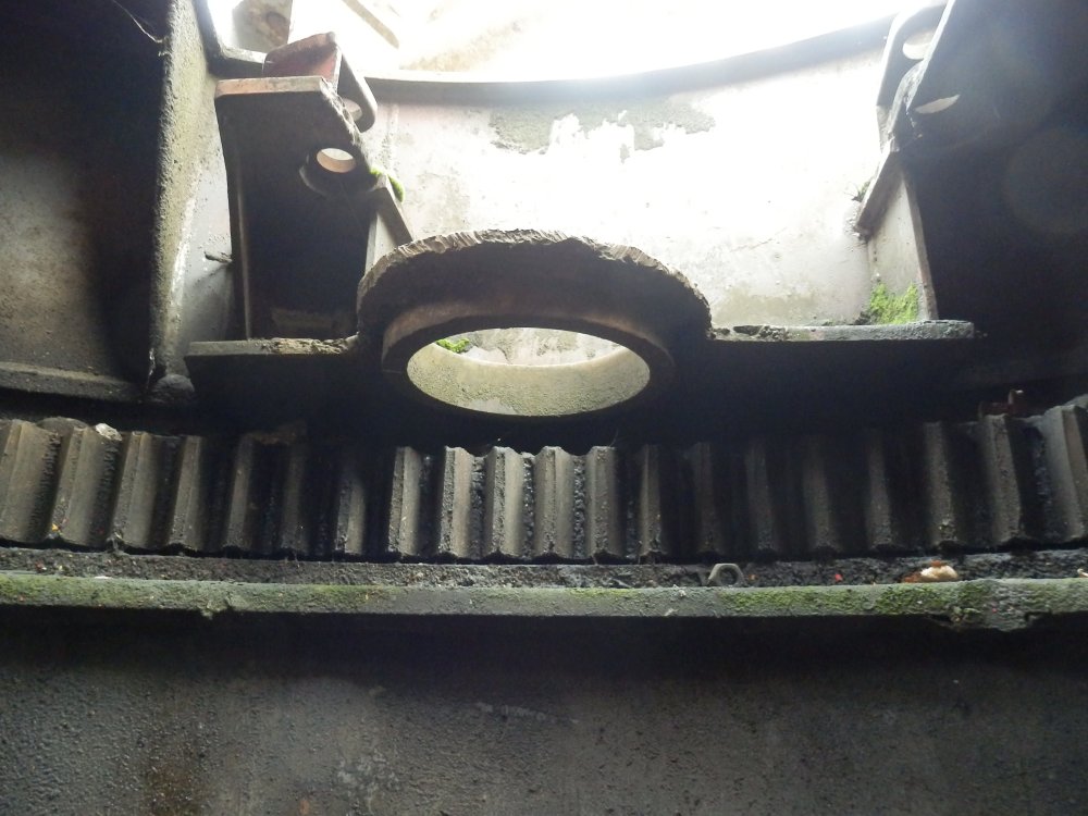 PA230482.JPG