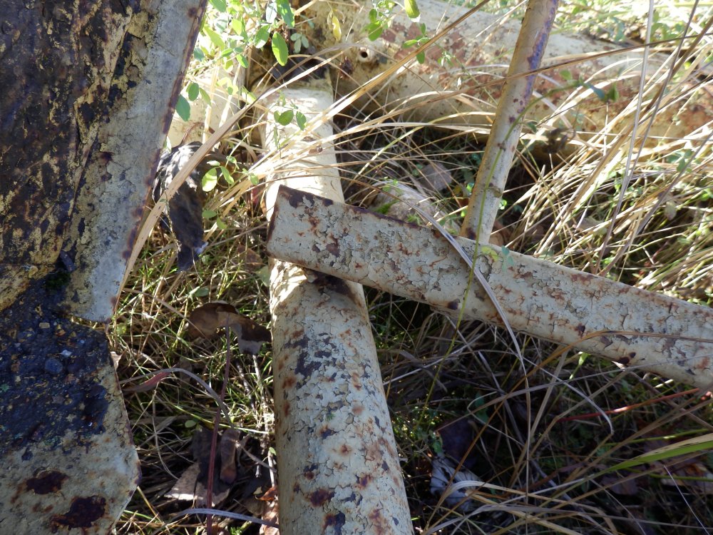 PB050349.JPG
