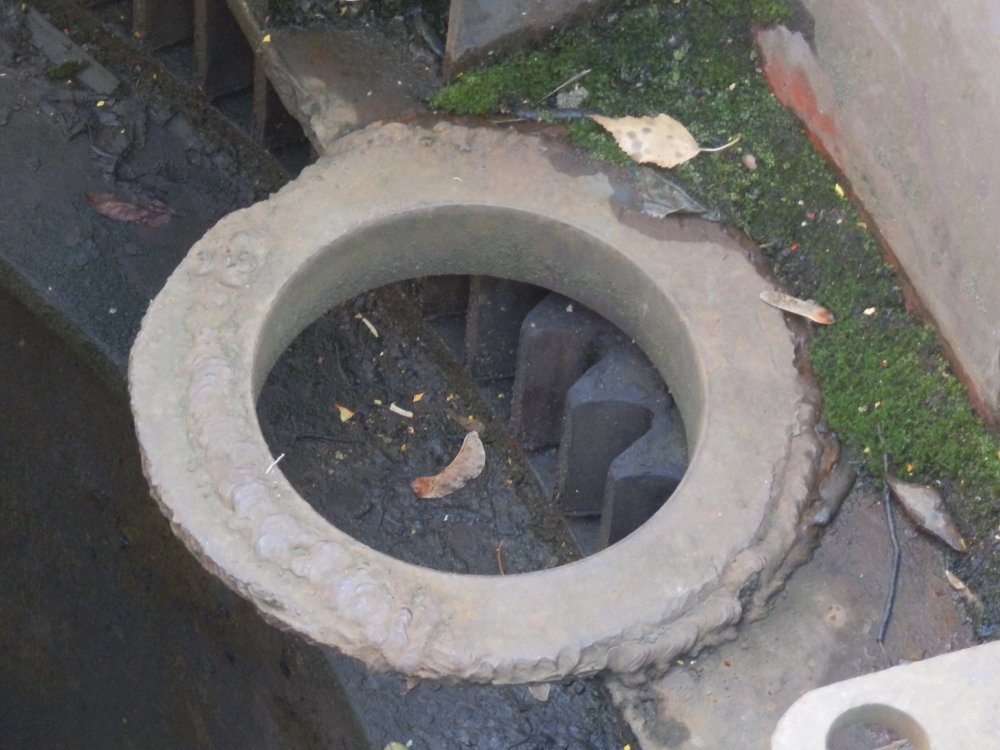 PB050428.JPG