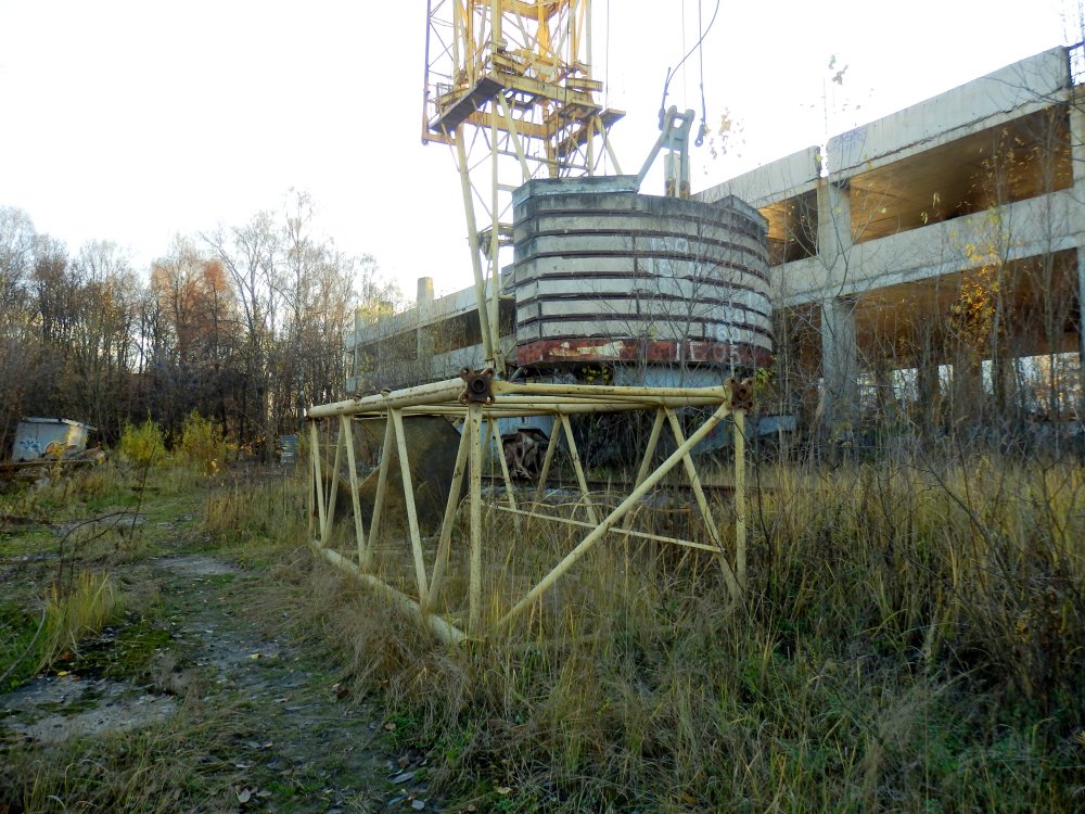 PB050878.JPG