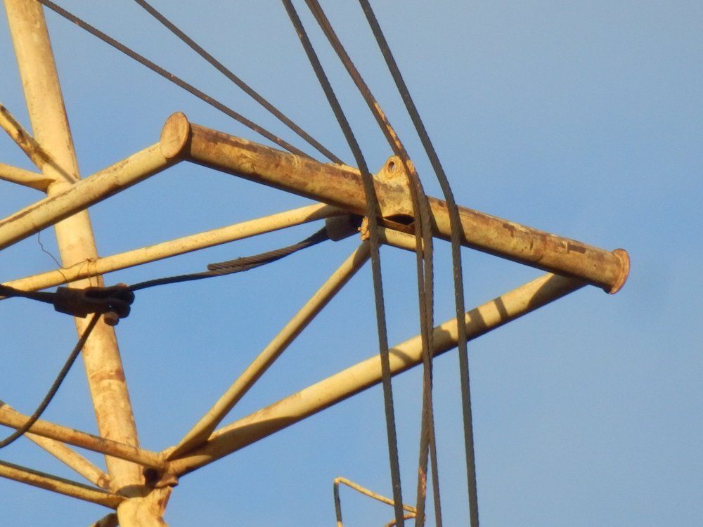 PB050911.JPG