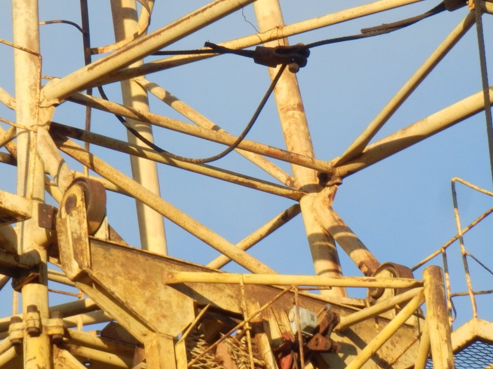 PB050913.JPG