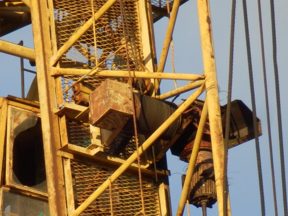 PB050919.JPG