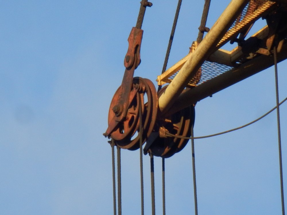 PB050925.JPG