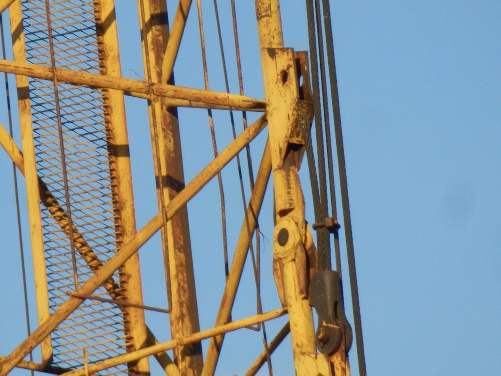 PB050933.JPG