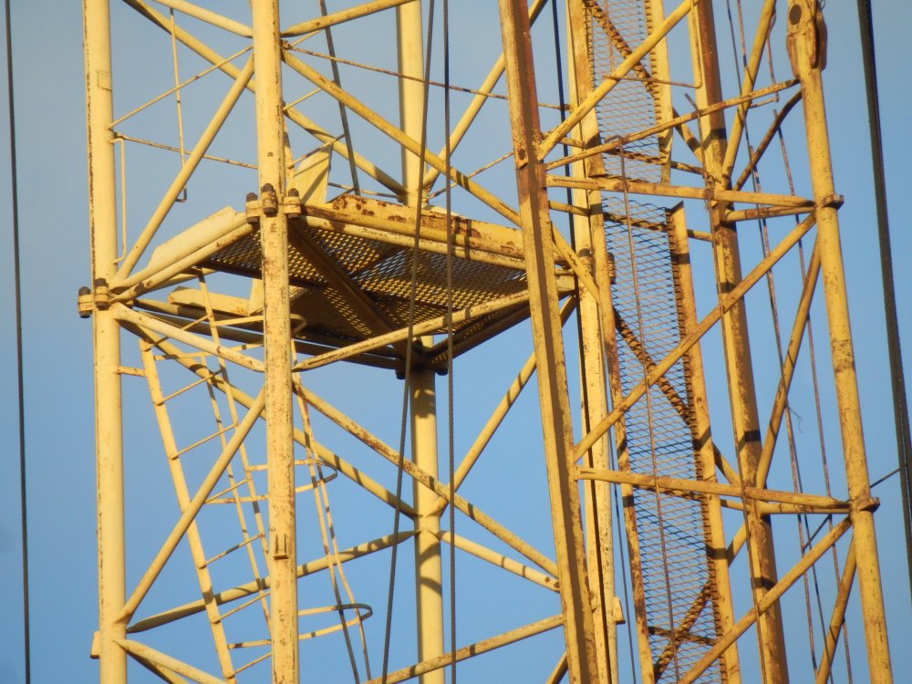 PB050935.JPG