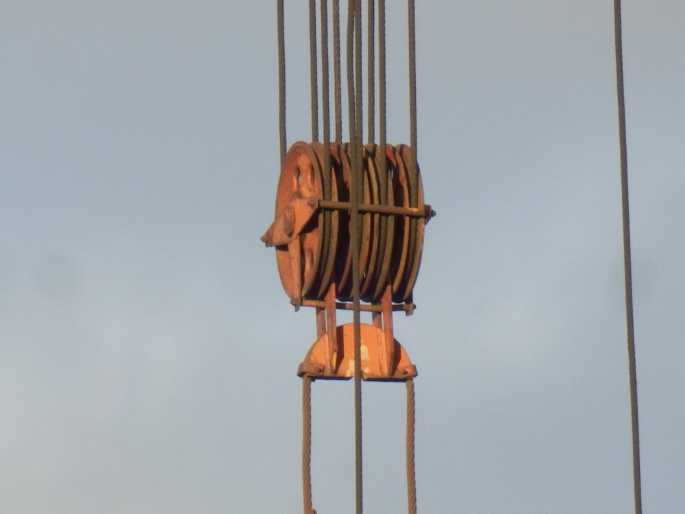 PB050938.JPG