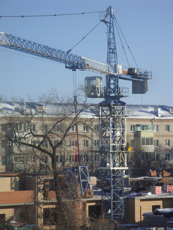 SDC19000.JPG