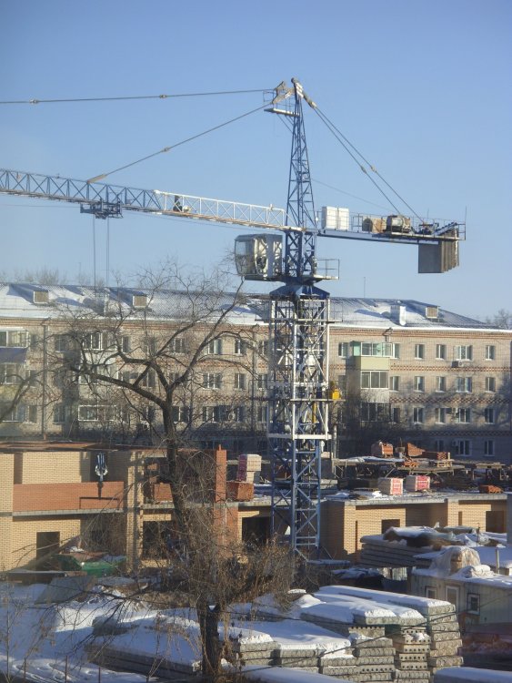 SDC19003.JPG