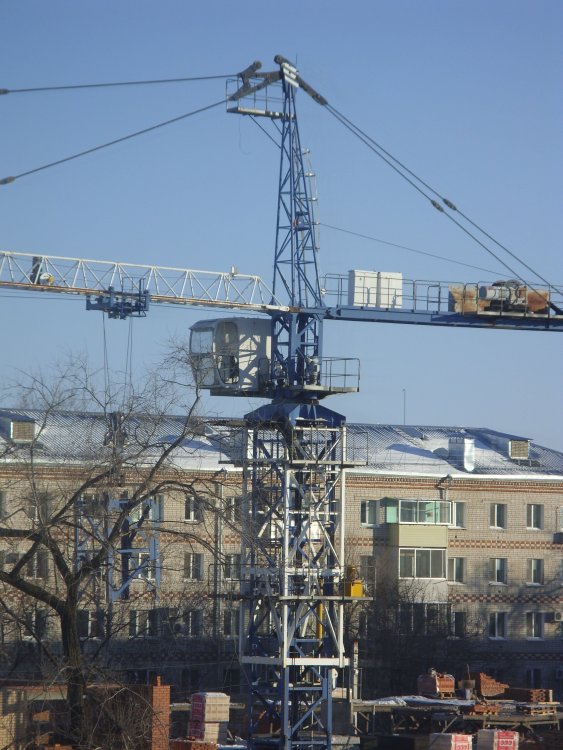 SDC19004.JPG