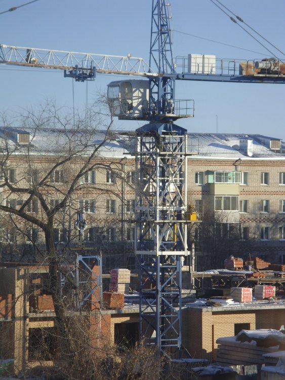 SDC19006.JPG