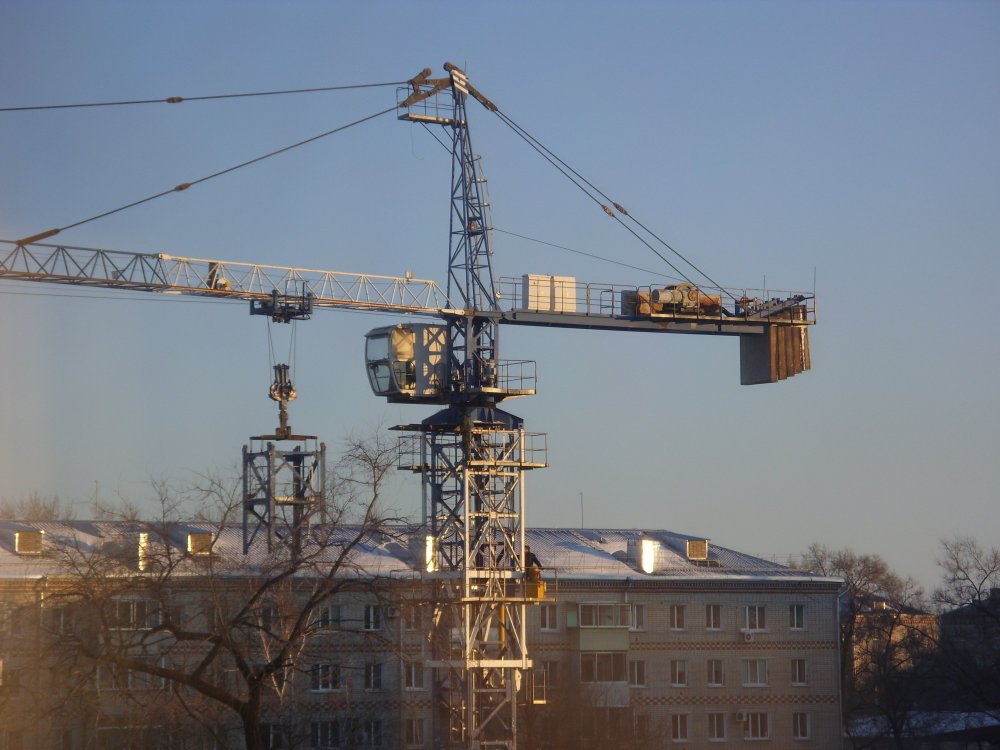 SDC19019.JPG