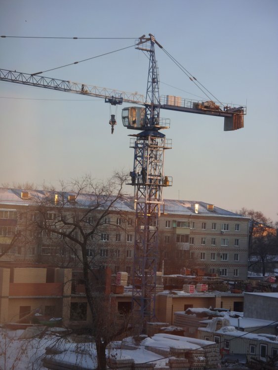SDC19026.JPG
