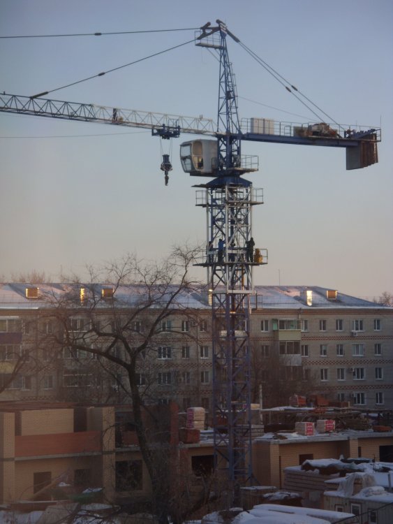 SDC19028.JPG