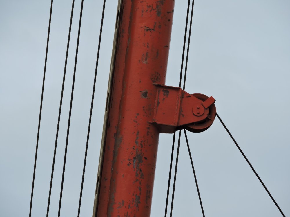 DSCN0144.JPG