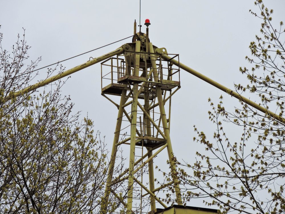 DSCN2123.jpg