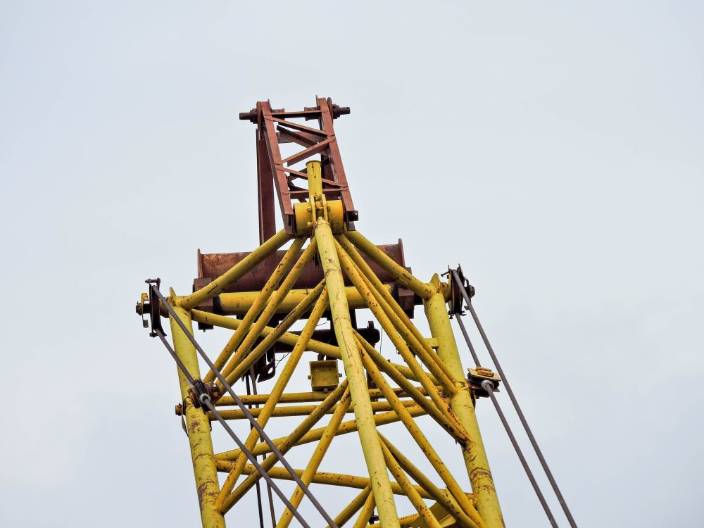 DSCN2441.jpg