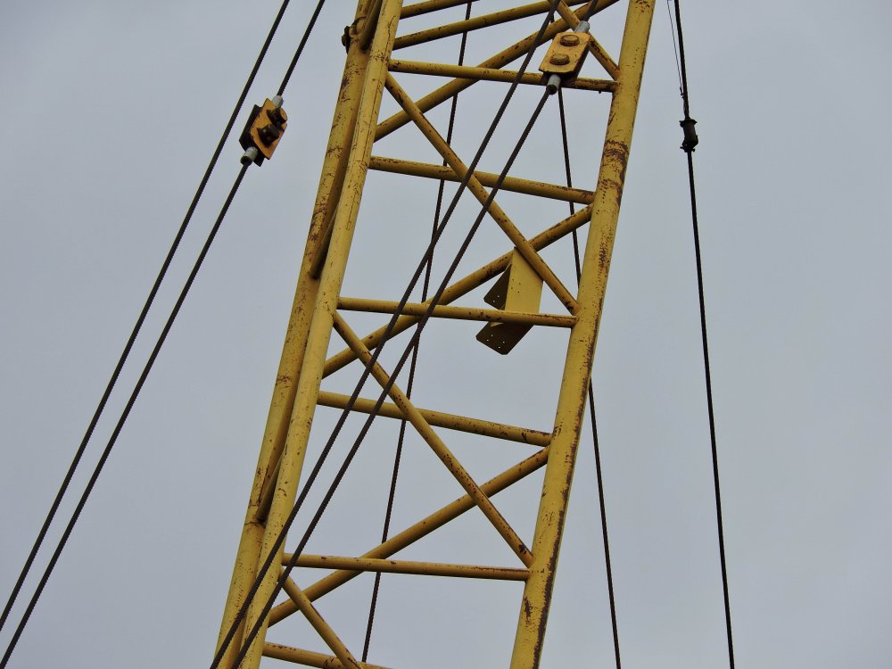 DSCN2567.jpg
