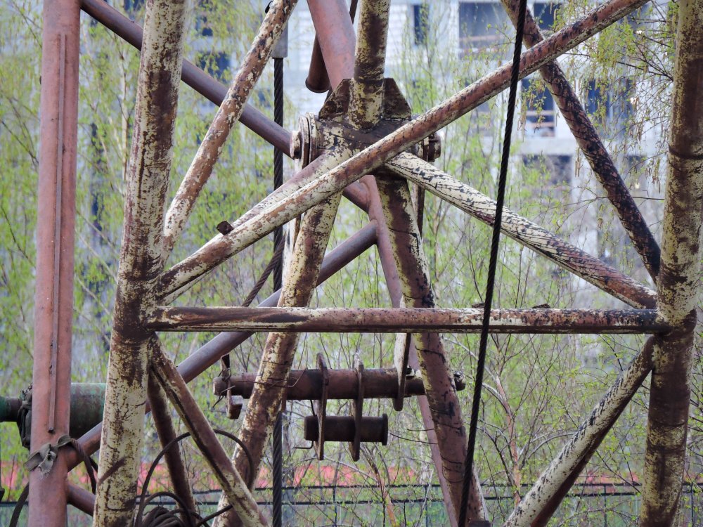DSCN2642.jpg