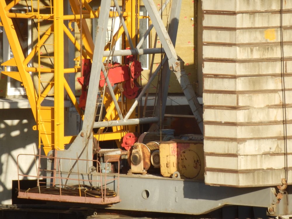 P8301609.JPG