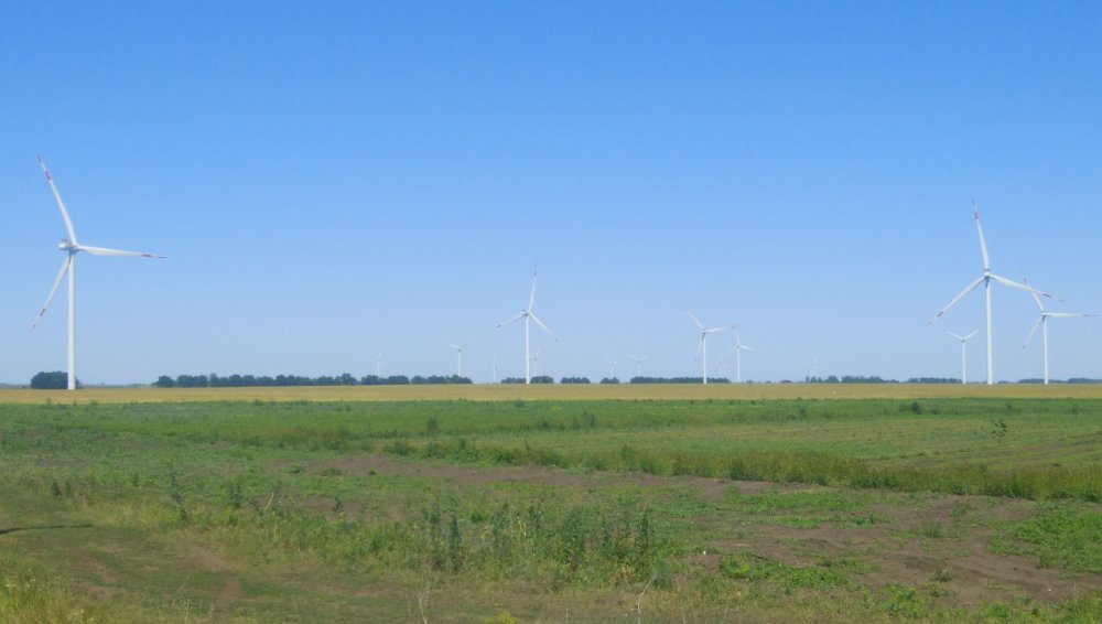 DSC_1859.jpg