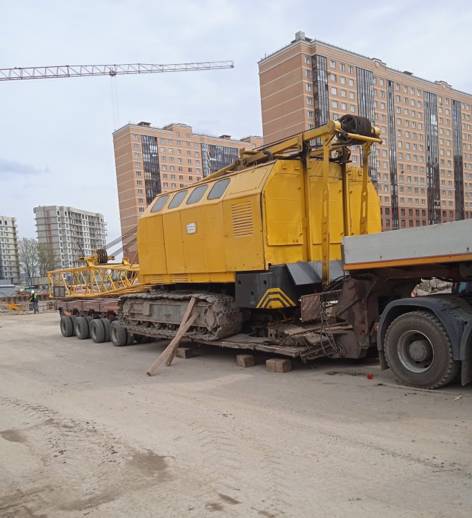 IMG_20260603_042558.jpg