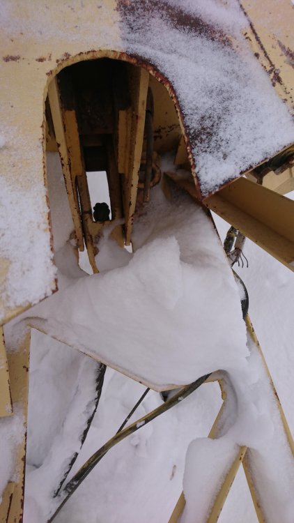 DSC_1365.JPG