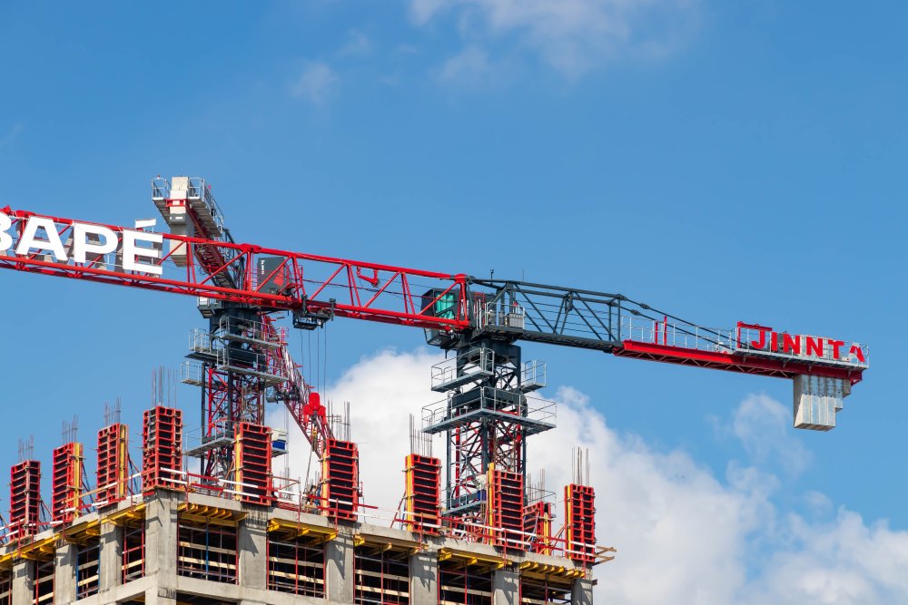 IMG_2871.jpg