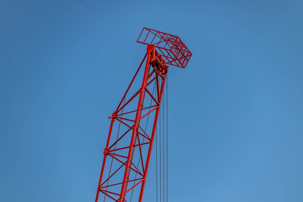 IMG_4250.jpg