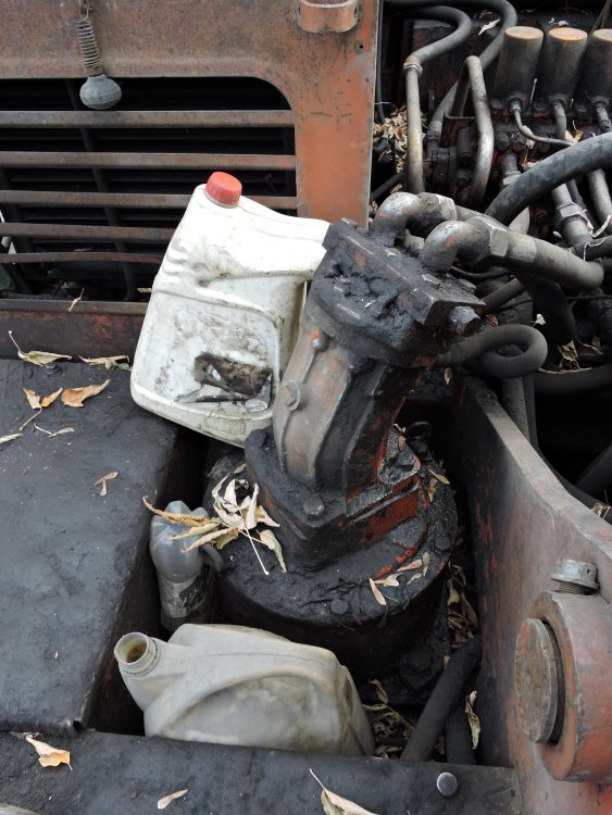DSCN4026.JPG