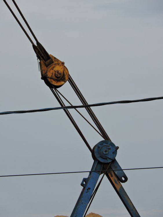 DSCN4197.JPG