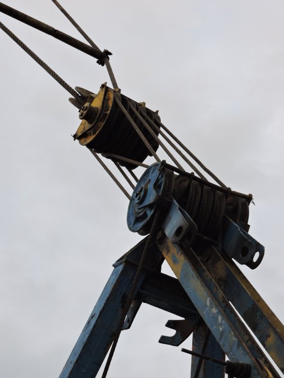 DSCN4310.JPG